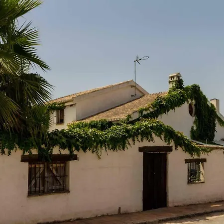 Encantadora Casa Con Piscina Privada Y Chimenea Padul